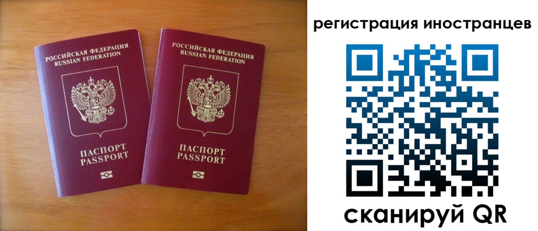 прописка поиск в Дорогобуже